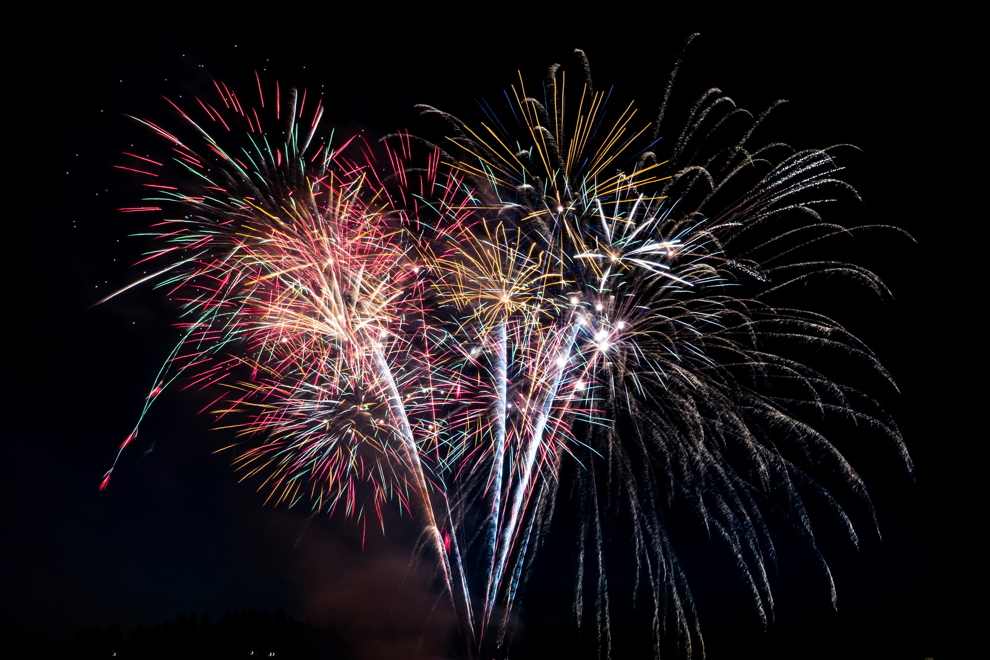 Colorful fireworks lighting up the night sky.