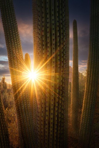 A mountain in the distance under the night sky