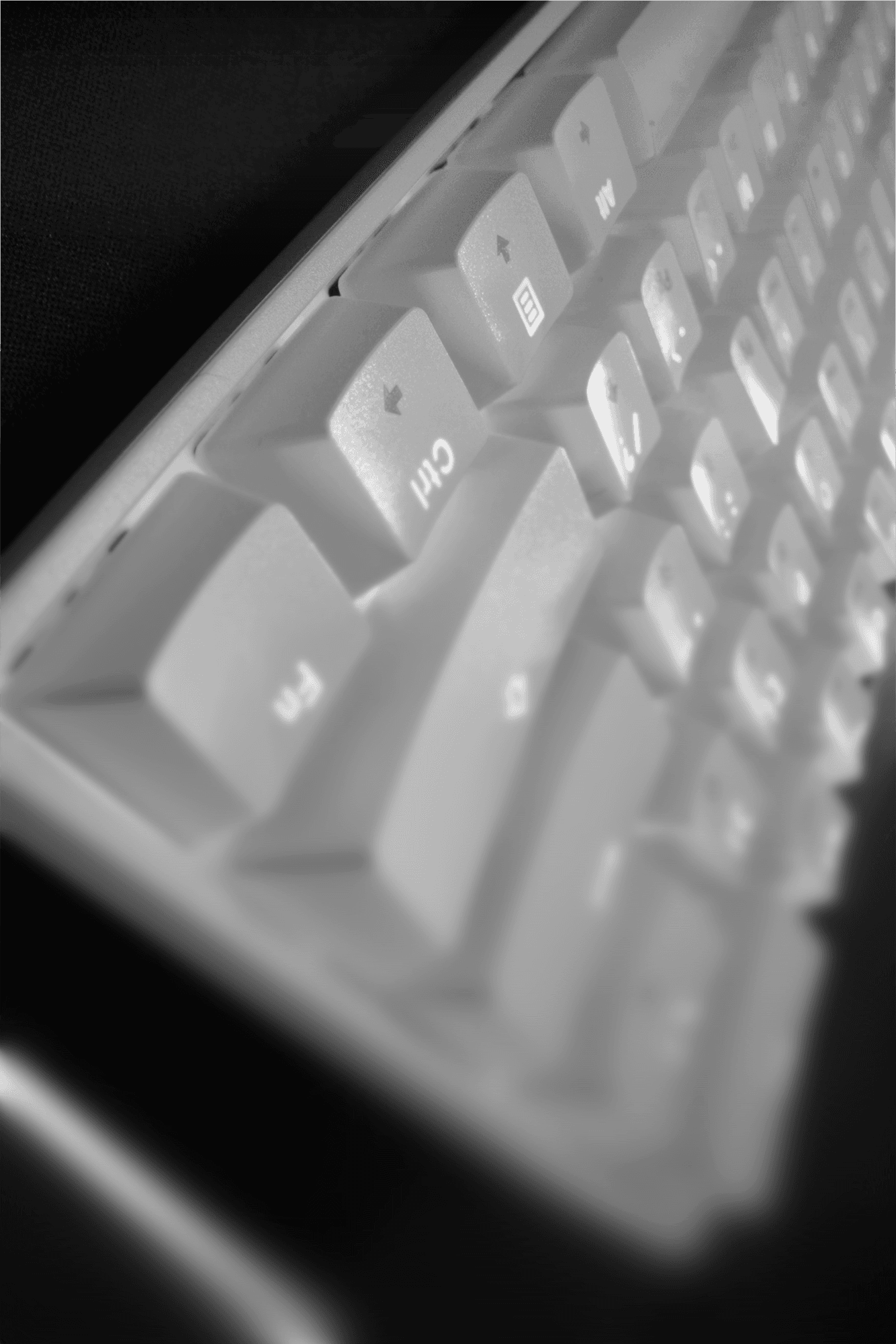 Close-up portrait of a person wearing a gray insulated hooded jacket with the hood up, showing their face framed by the hood against a light background.