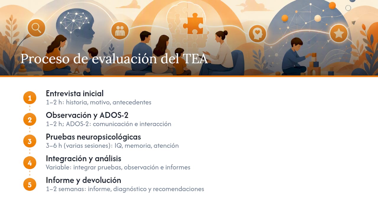 Esquema de las etapas en una evaluación neuropsicológica
