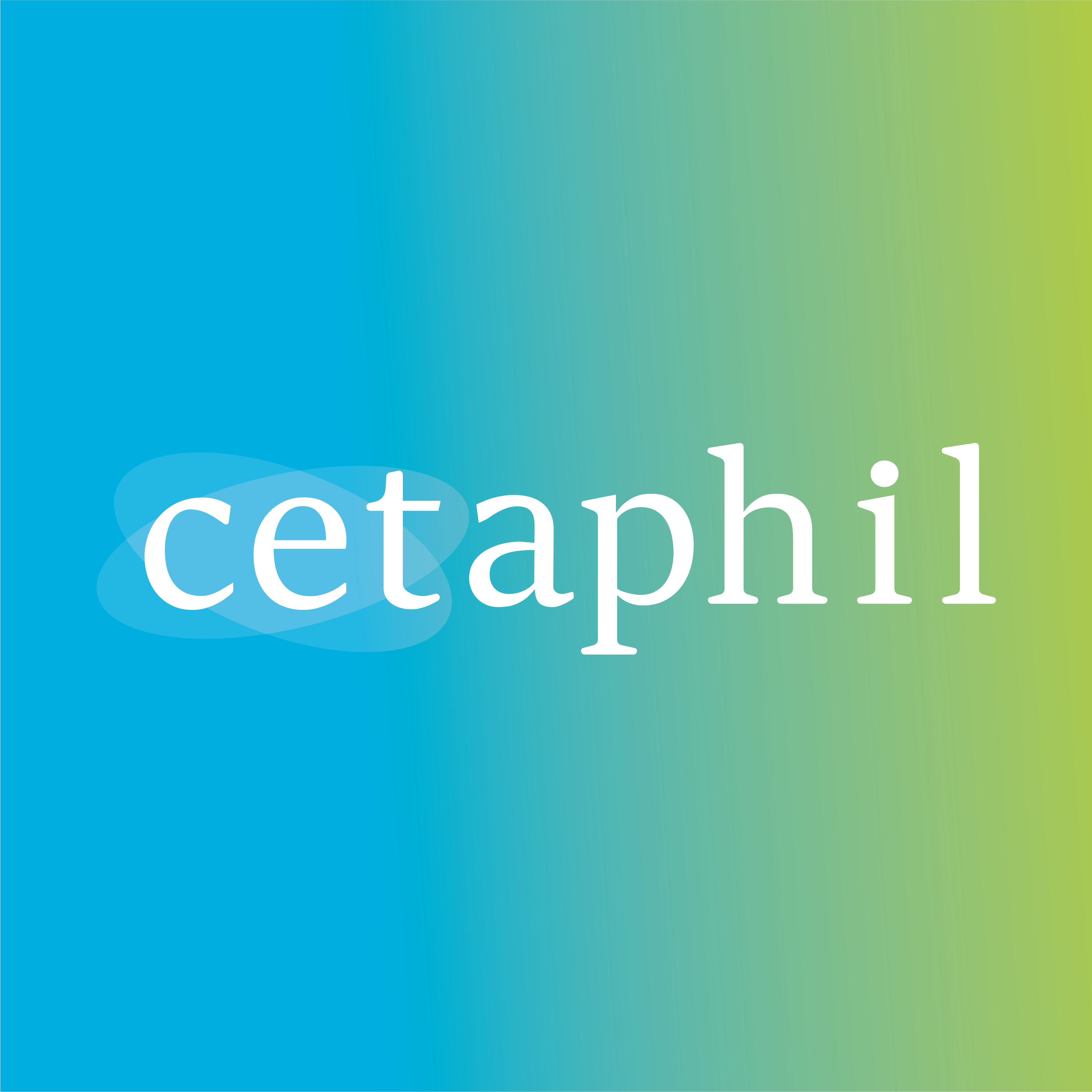 The Art of Choosing the Perfect Font Introduction
