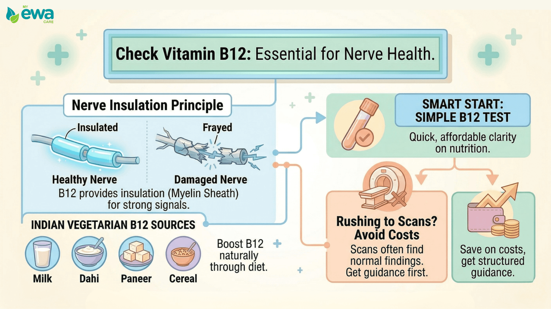 Vitamin B12 sources and benefits for nerve insulation