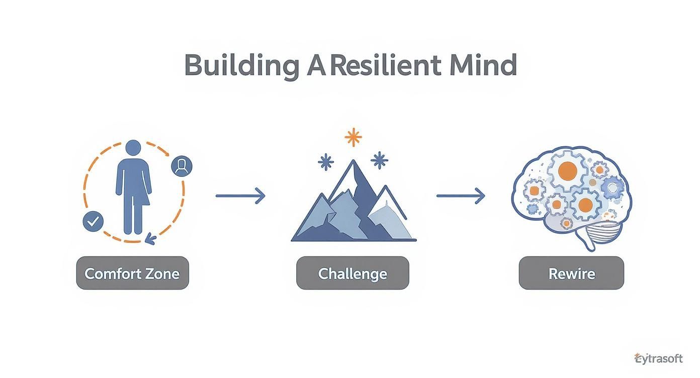 Three-stage process diagram showing comfort zone, challenge mountain, and brain rewire for building resilience