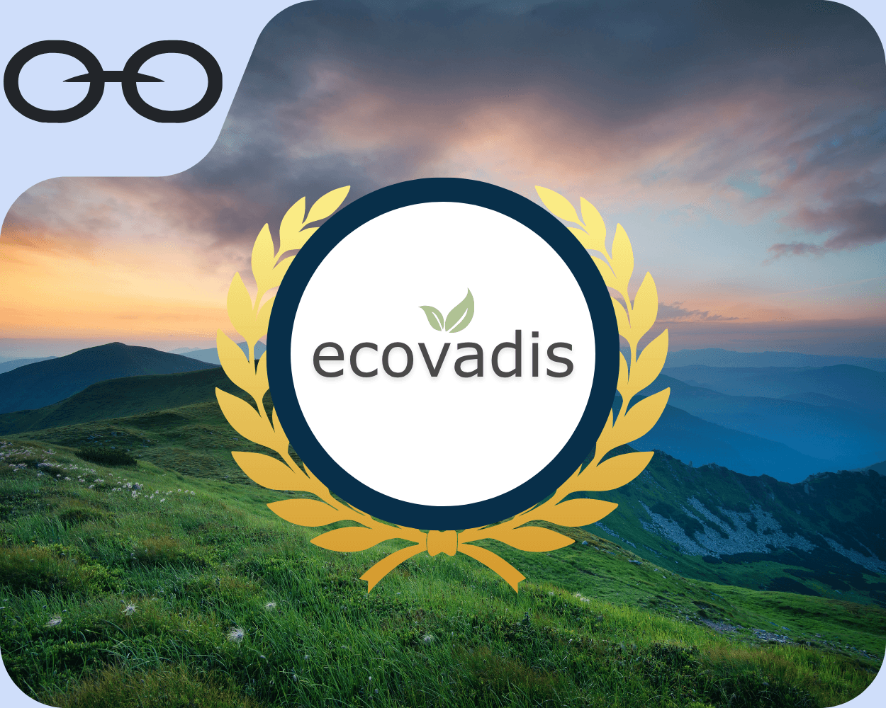 Different components of a supply chain for EcoVadis software