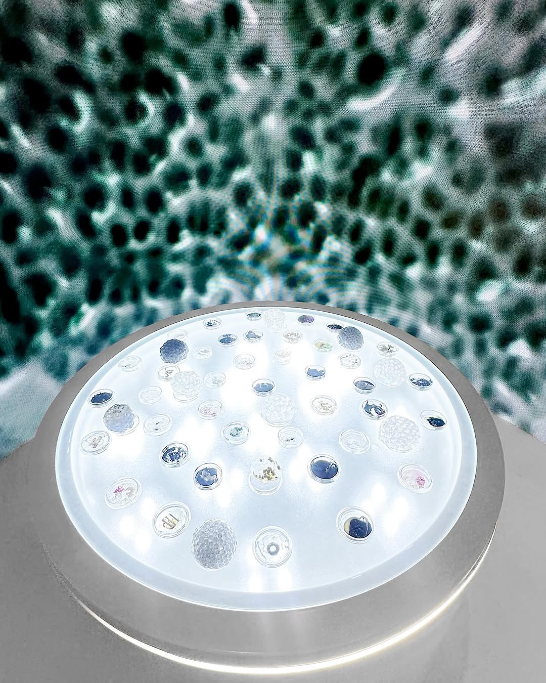 Dom Pérignon vineyards from the sky