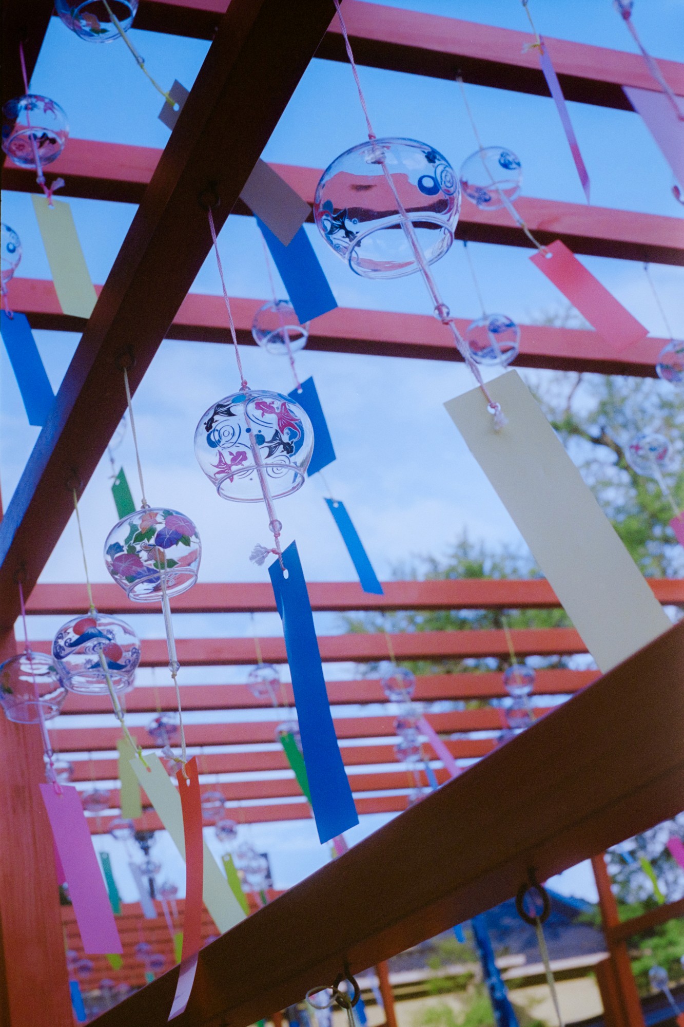 Taisei Matsumoto, 2023 exhibition view 10