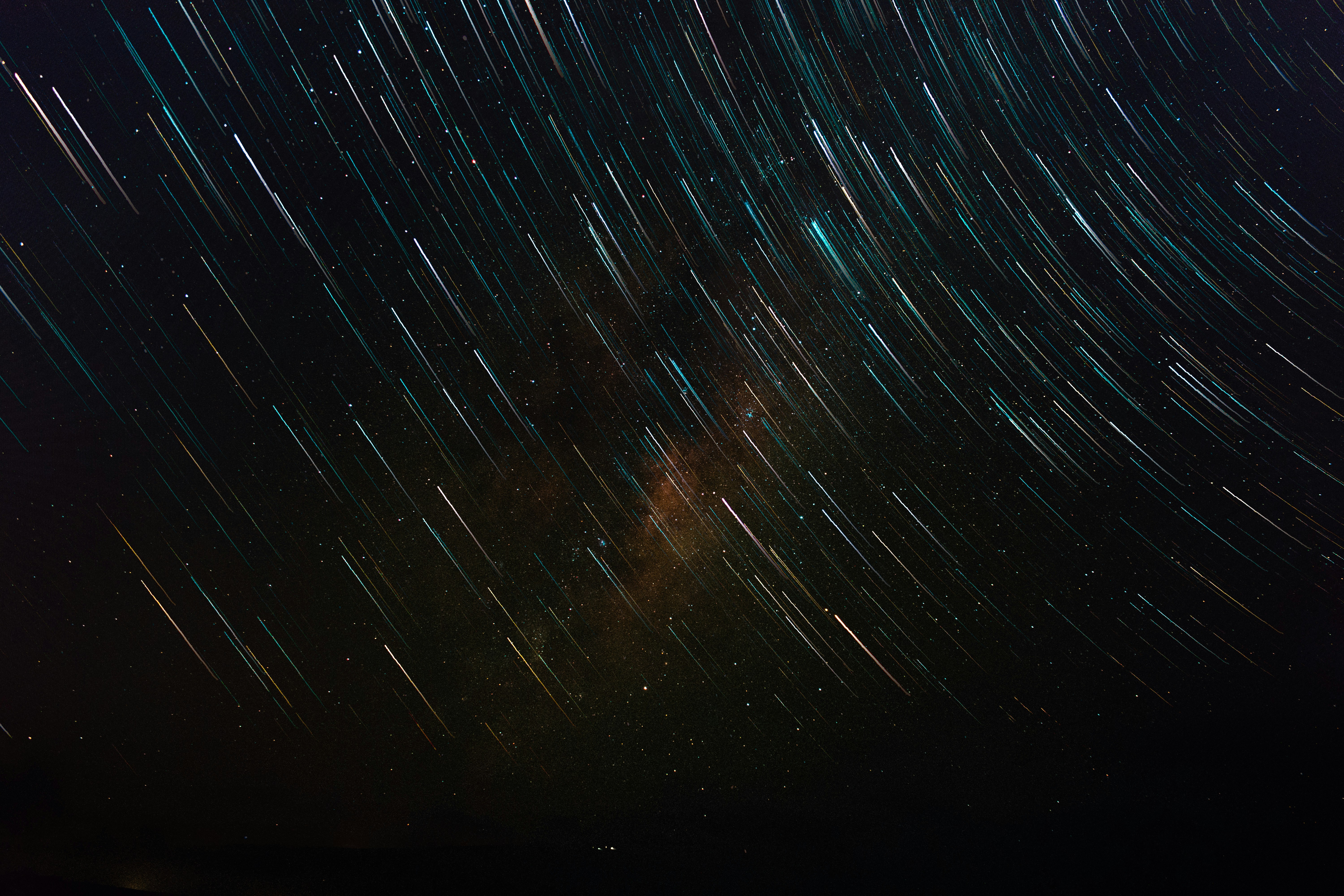 Path winding through a field of pink flowers