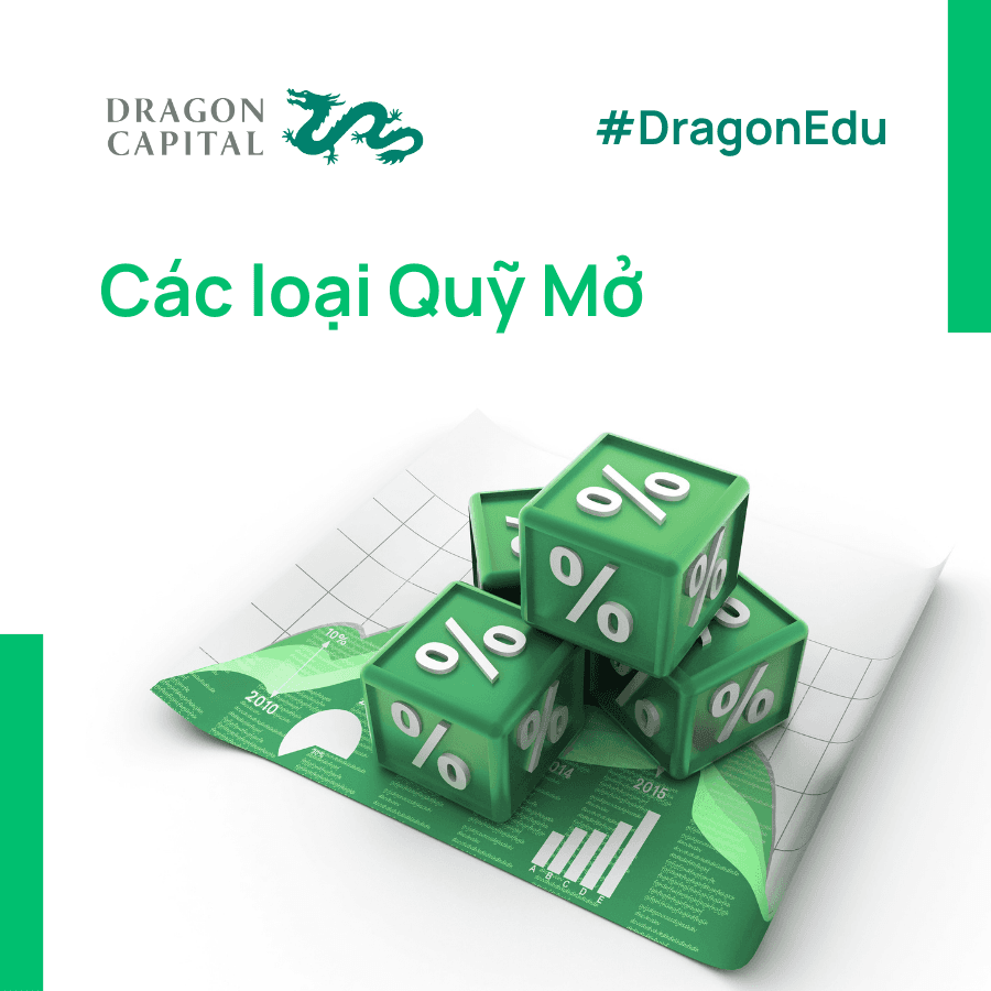 Hình ảnh minh họa các loại quỹ mở phổ biến ở Việt Nam