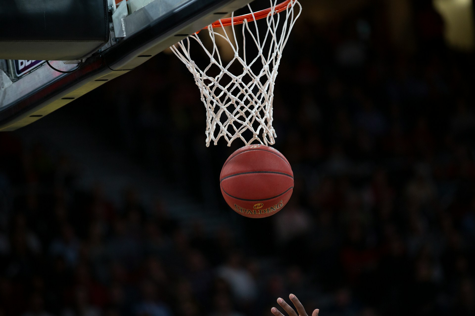 Basketball