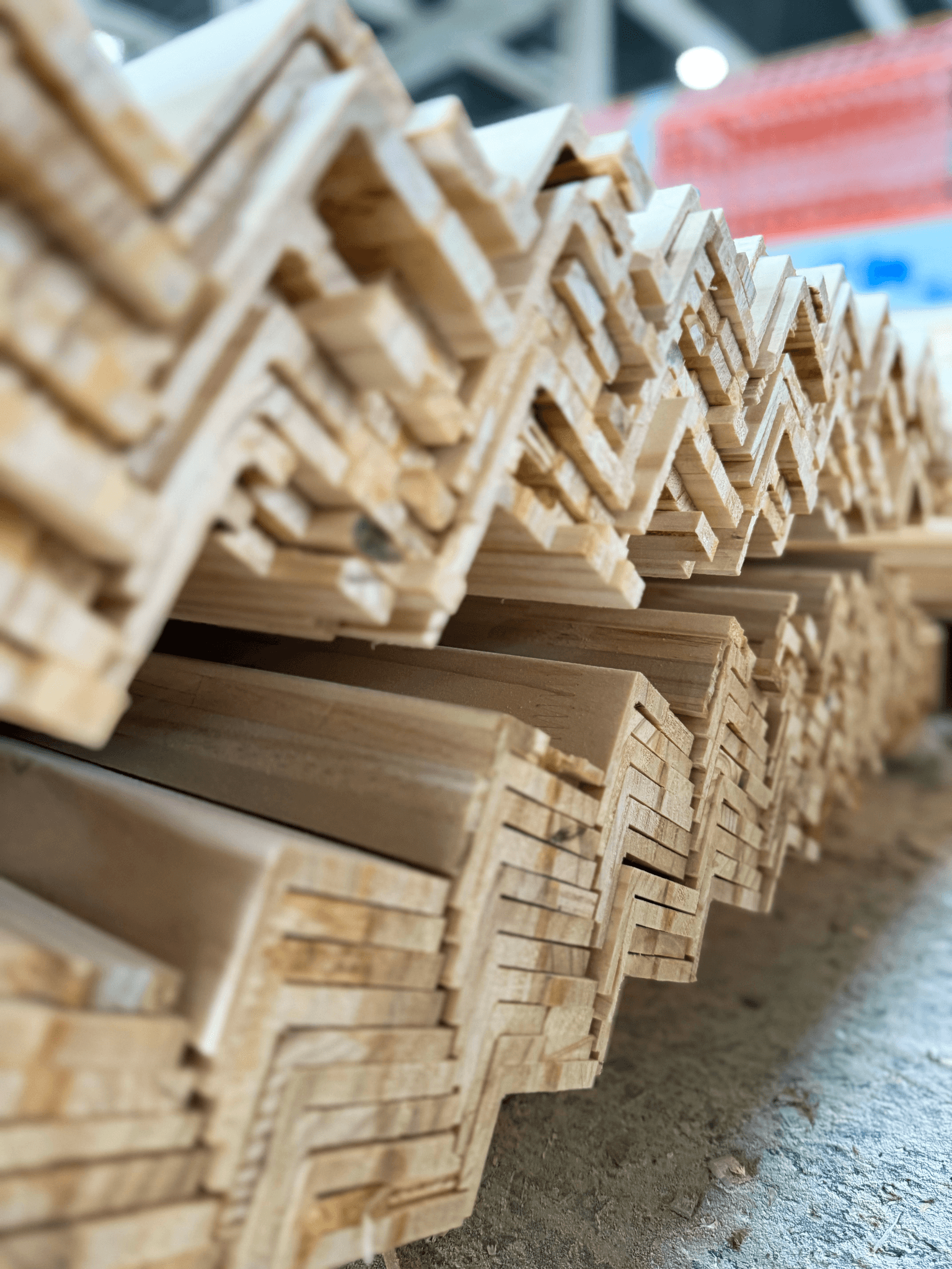 Close-up of a tree stump showing growth rings and a textured brown wood surface.