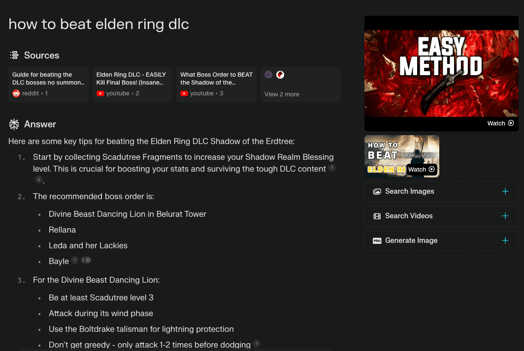 elden ring perplexity example