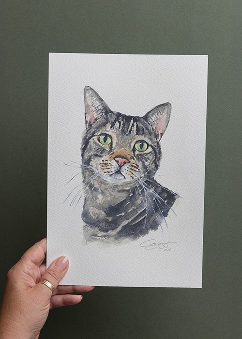 Watercolour painting of Tabby Cat
