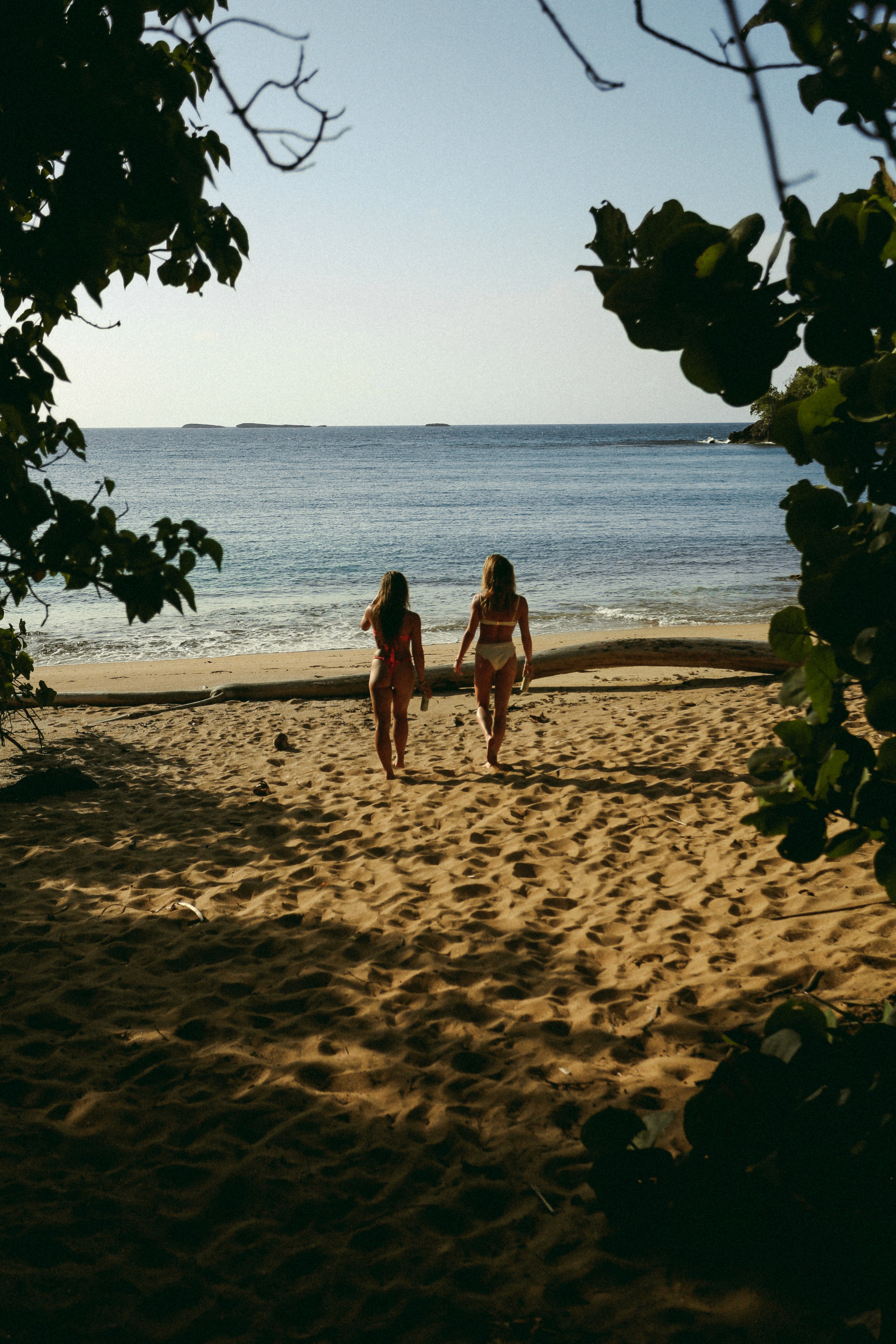 Sophia Reynolds is smelling flowers