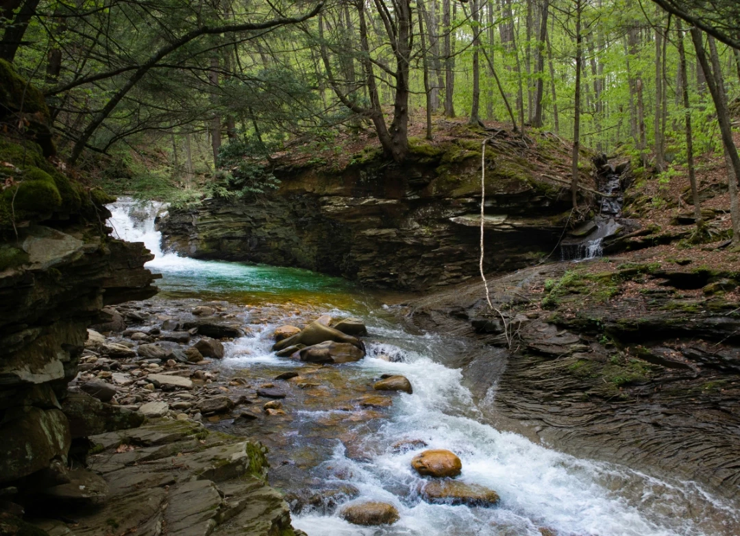 A beautiful river in McIntyre Wilderness, PA.