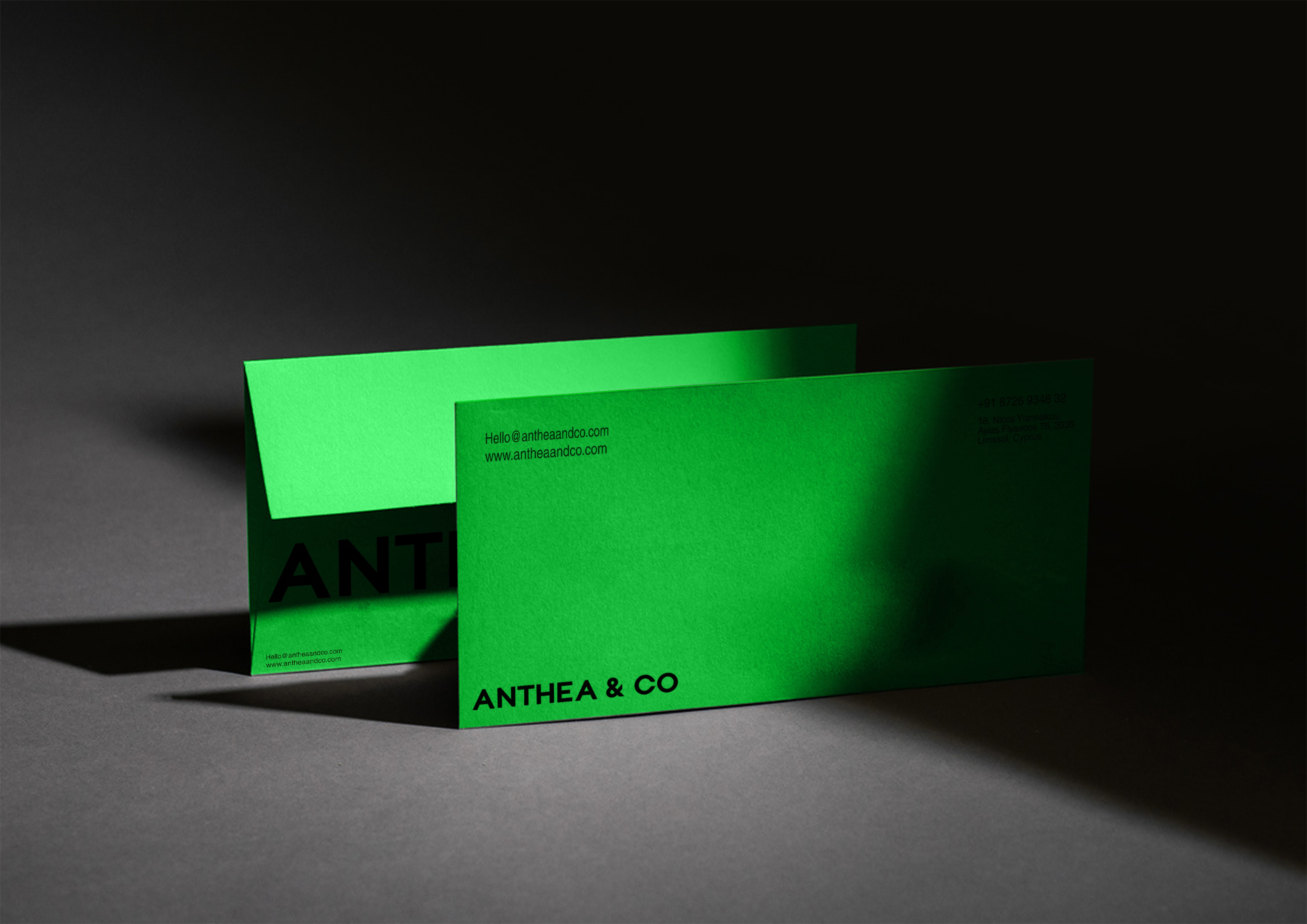 Anthea & Co Main Image 7