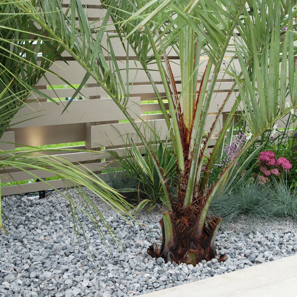 Light stones around plants