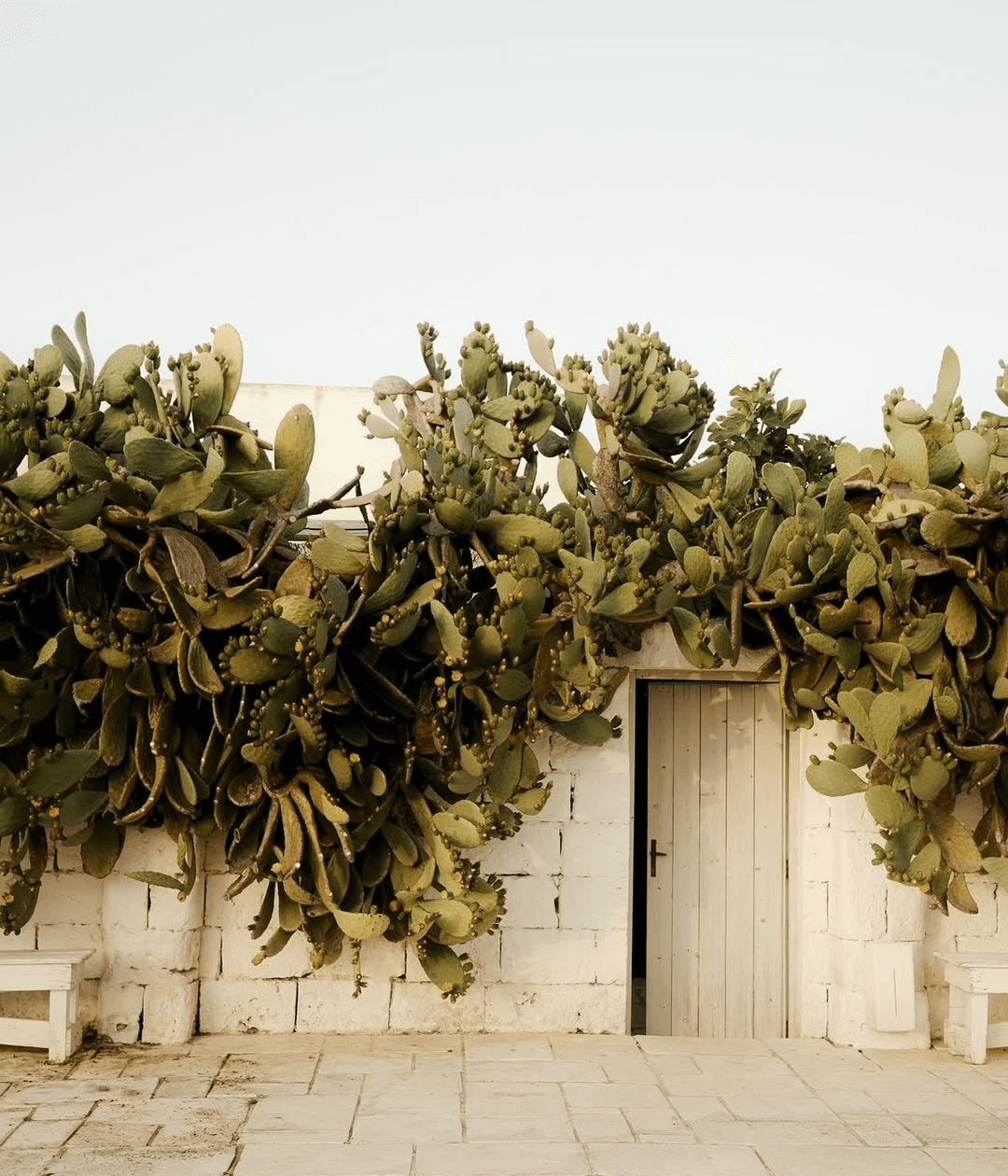 Man sitting in a dimly lit room, wearing a beige shirt and looking contemplative.