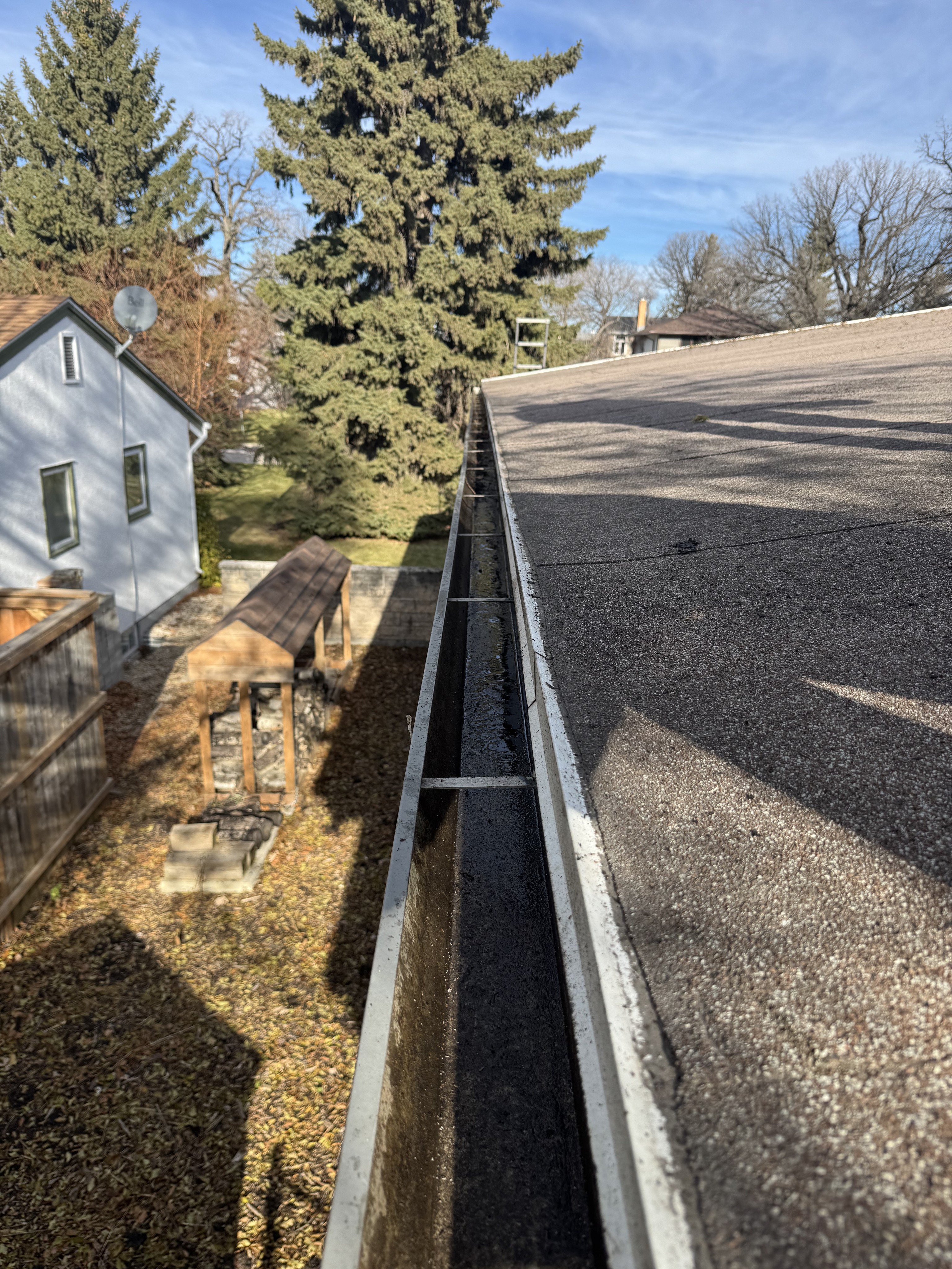 Gutter Cleaning Before