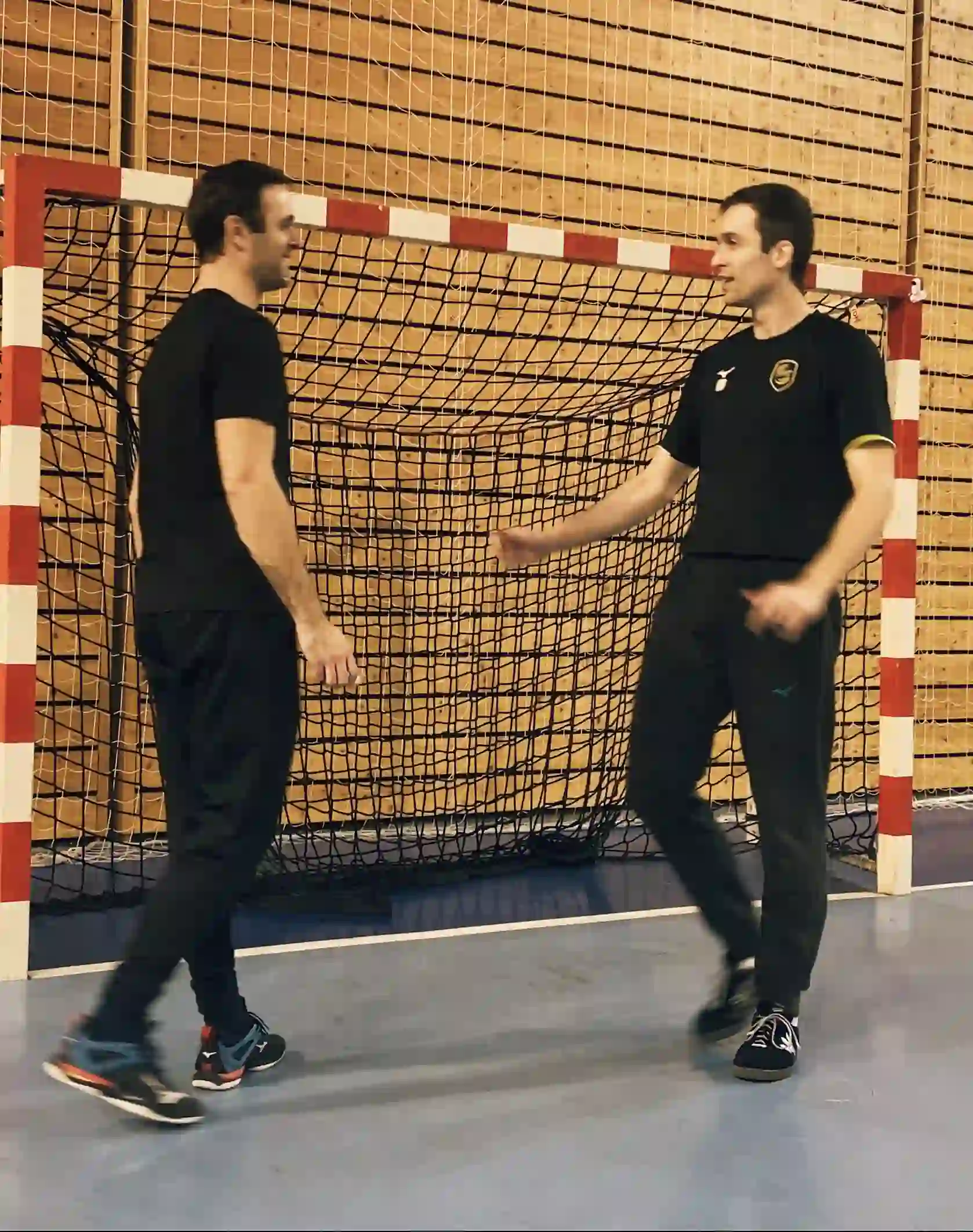 Close-up of a tree stump showing growth rings and a textured brown wood surface.