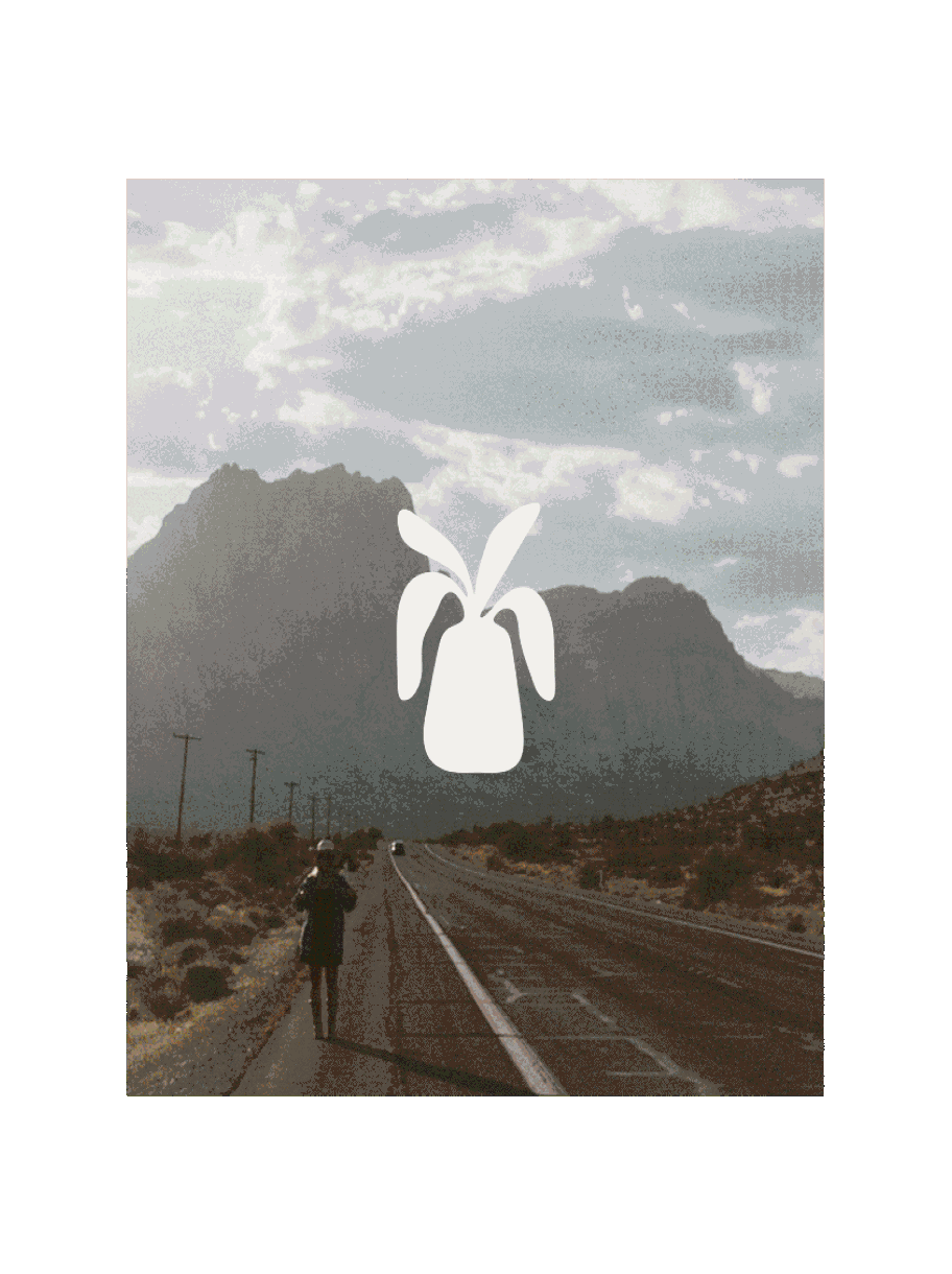 Dom Pérignon vineyards from the sky