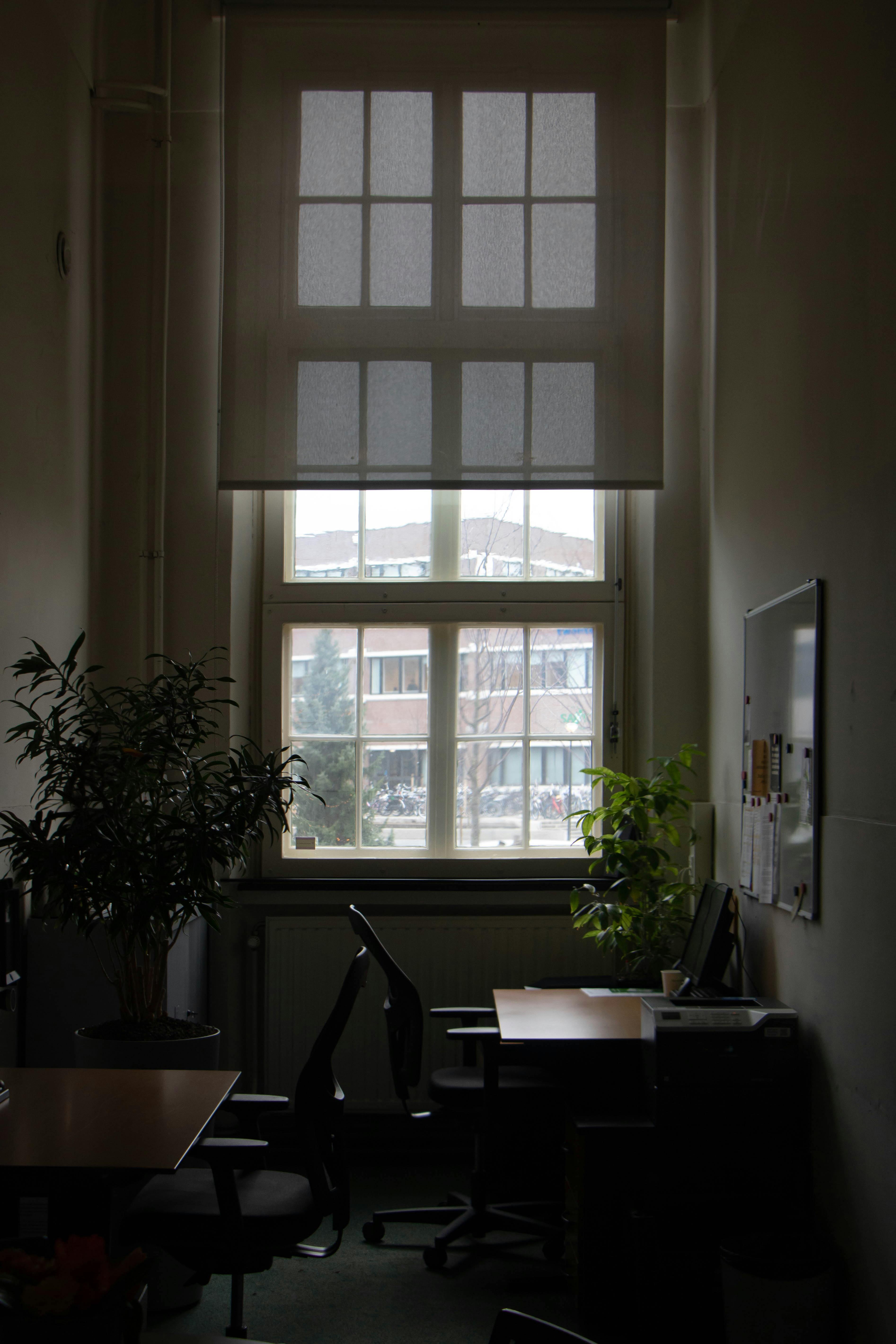 Sunlit office interior with large window
