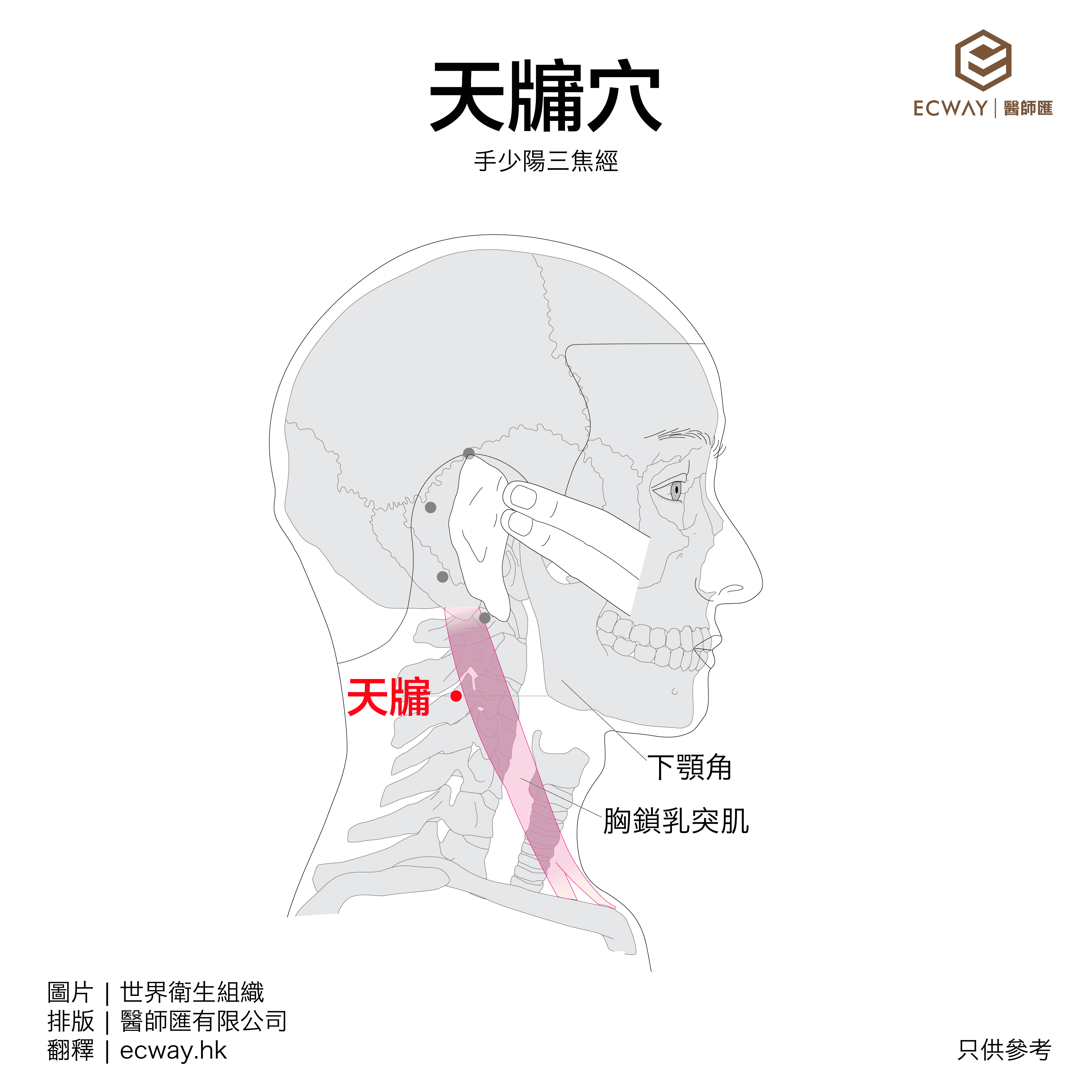 天牖穴