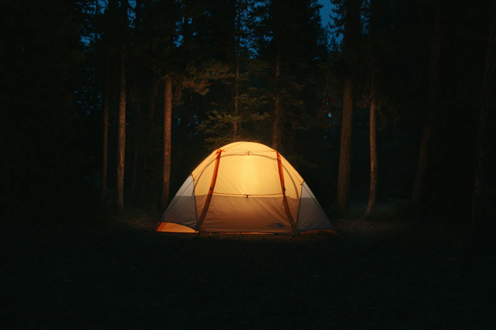 Tents up in the pocket, twenty minutes after the last light