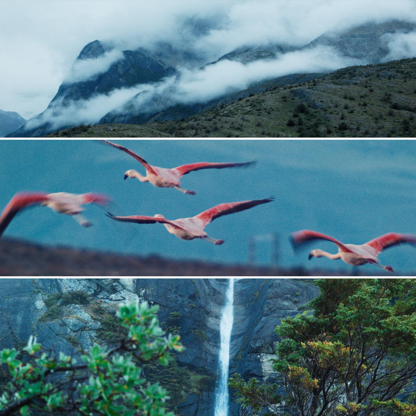 people posing for portrait