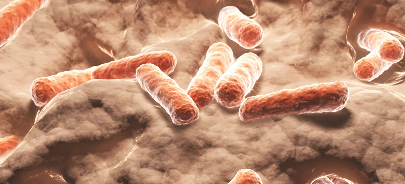 Close-up illustration of gut bacteria with rod-shaped bacteria representing the gut microbiome