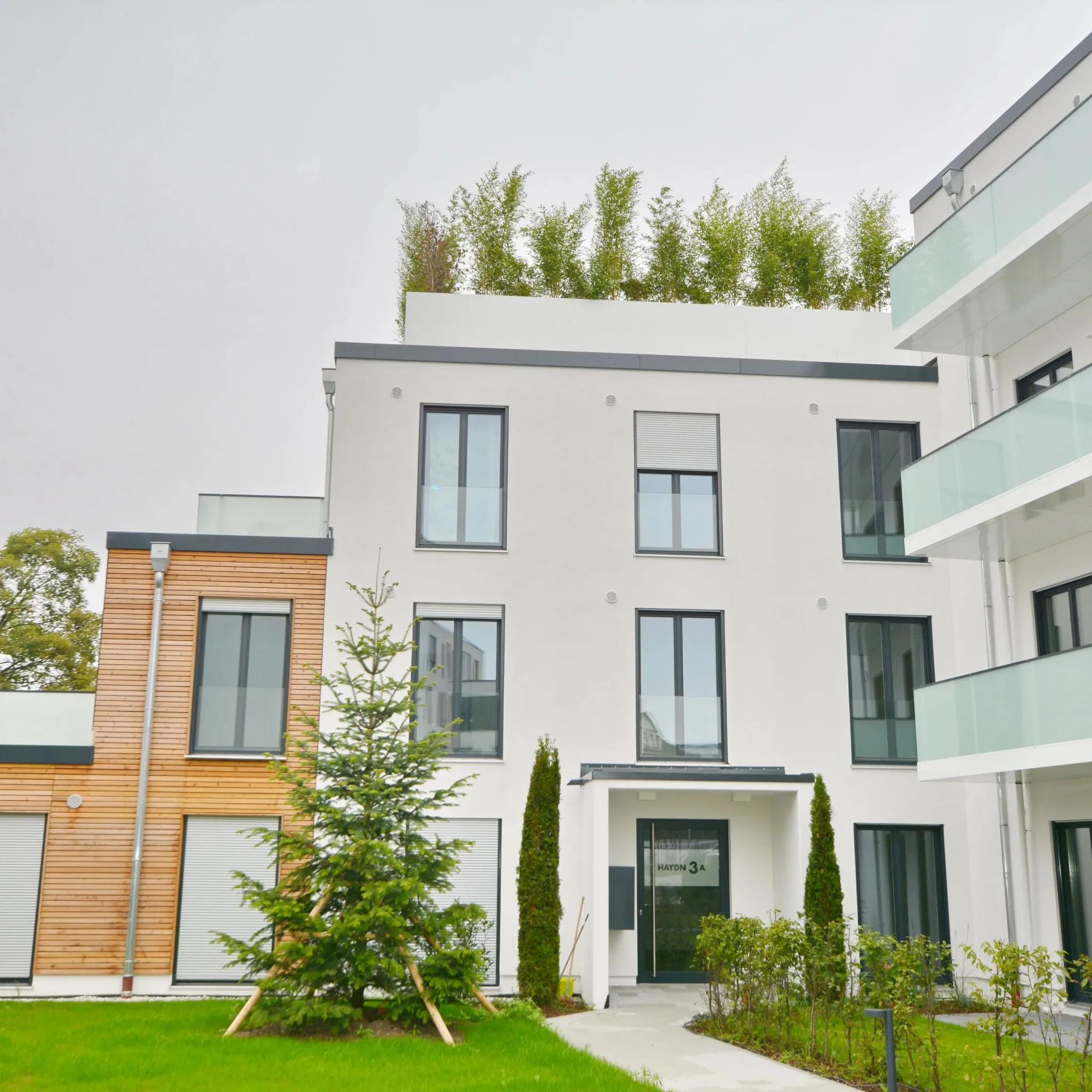 Modernes Wohnhaus mit weißen Putzfassaden, Holzelementen, Glasbalkonen und Dachbegrünung.
