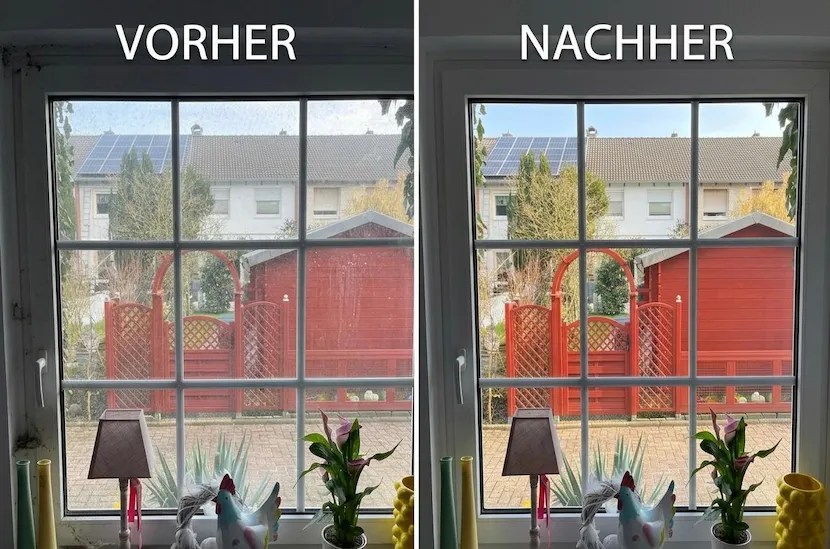 Fensterreinigung Osnabrück