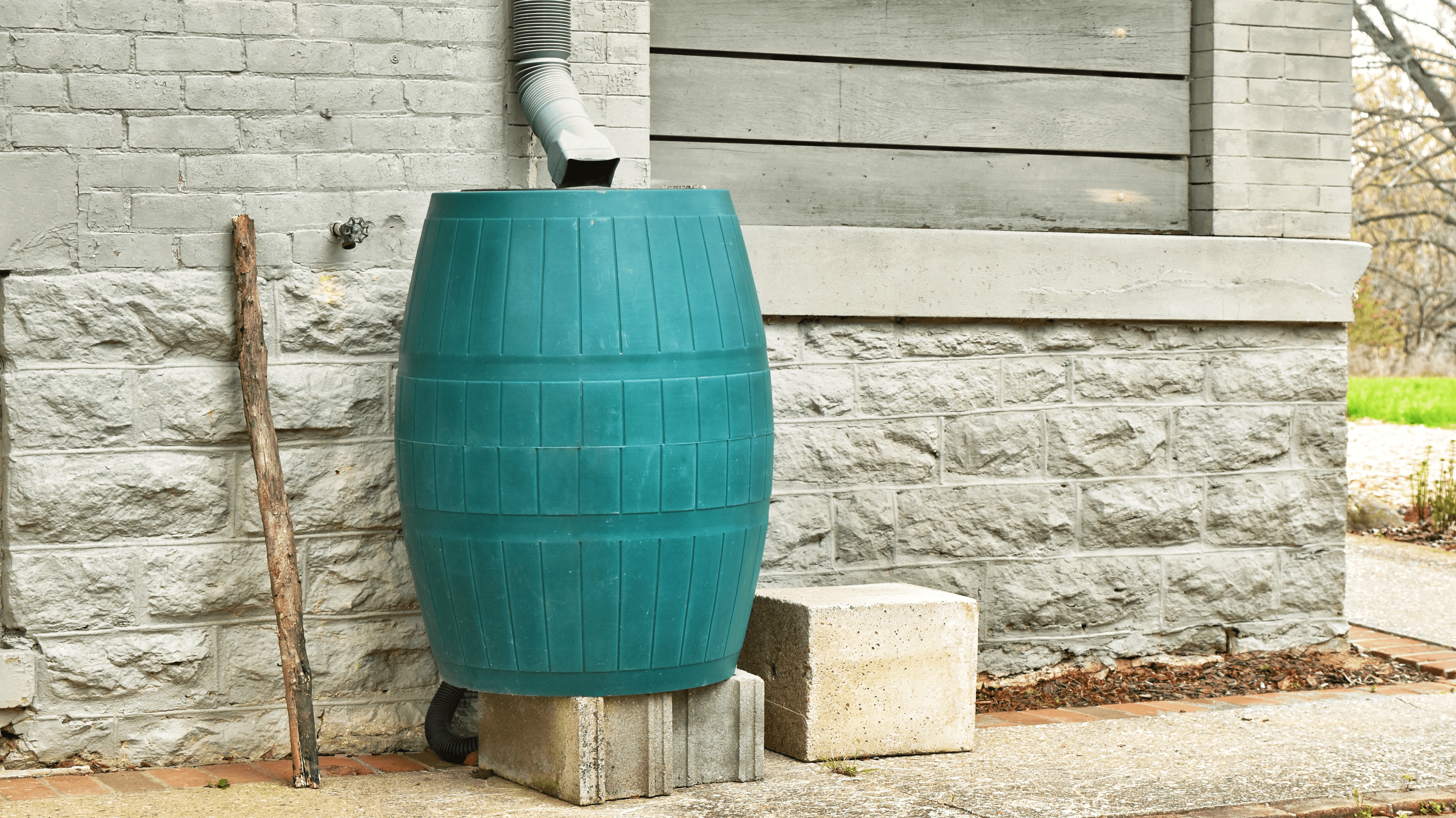 A vibrant teal rain barrel sits outside a home, poised to collect rainwater from a downspout. The barrel rests on concrete blocks on a paved surface, positioned against the backdrop of a grey brick and stone wall, and wooden panelling. A stick leans against the wall next to the barrel. This scene conveys a sense of environmental consciousness and resourceful living. The image is well-suited for educational content, marketing campaigns promoting sustainable practices, or illustrative materials on water conservation and green home improvements.