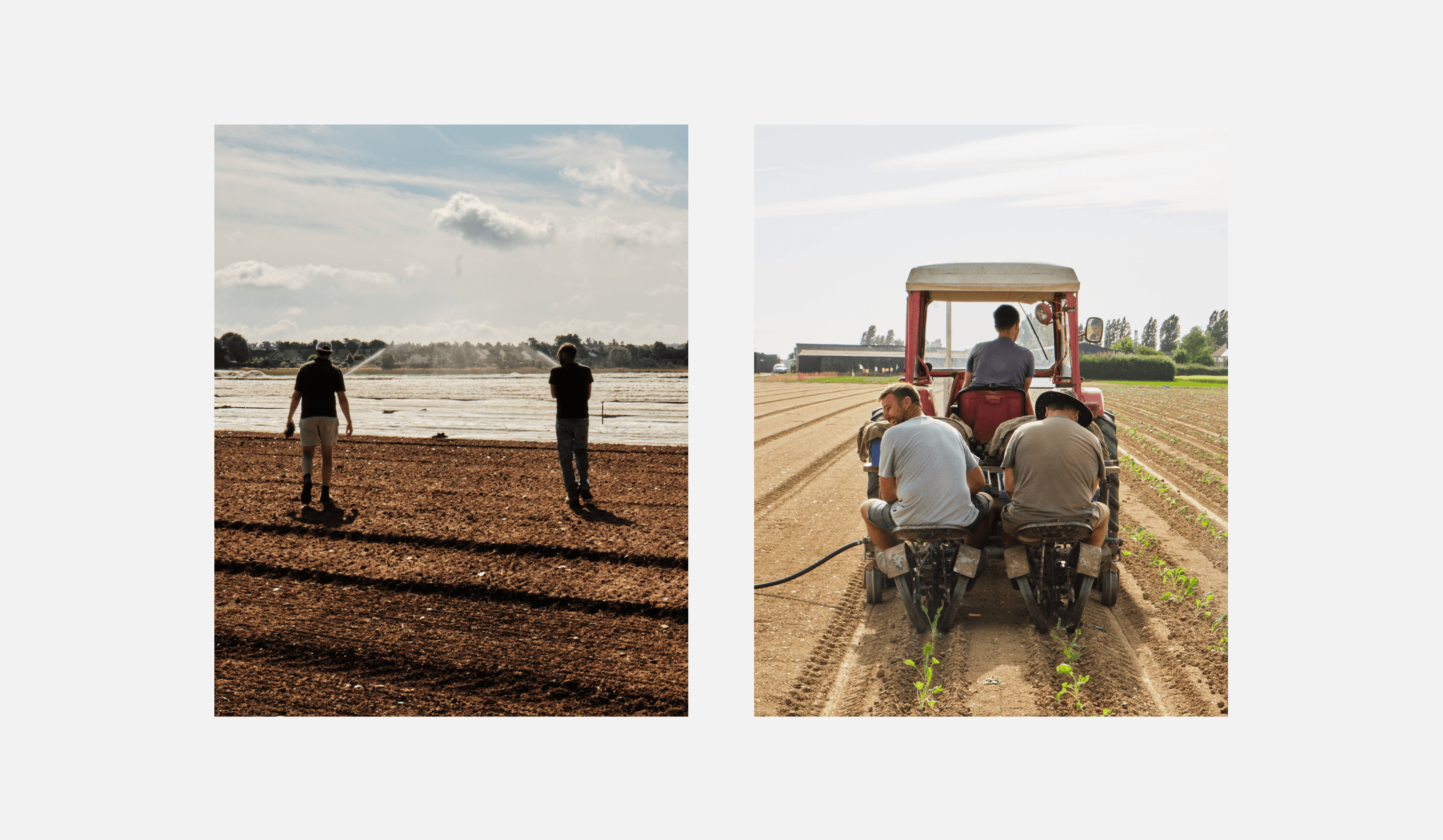 Chef's Farms – GEORGE COSBY STUDIO | Brand Worlds Built At Moments Of Change