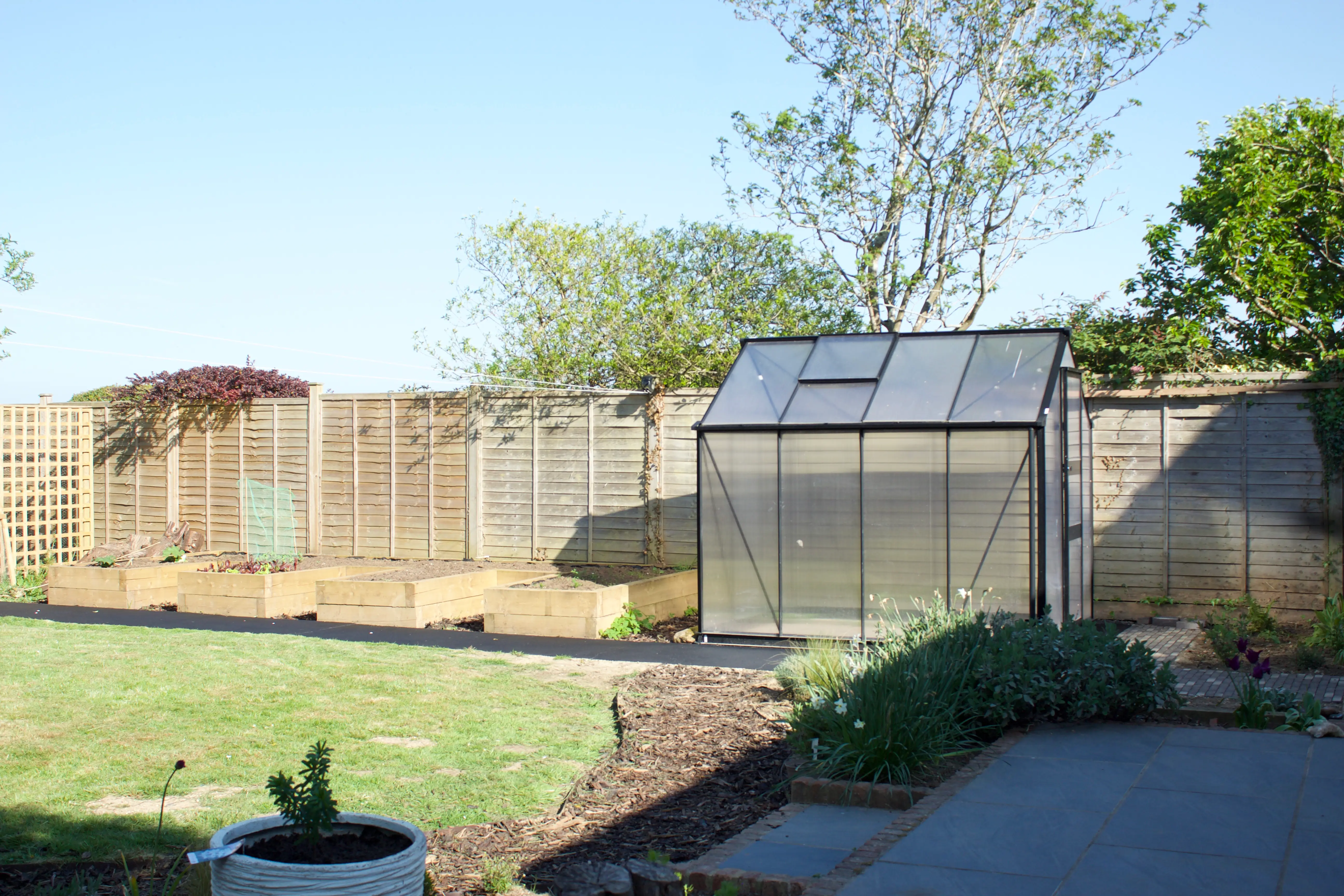 A sunny outdoor area with a wooden fence and a sign visible in the background, showcasing greenery.
