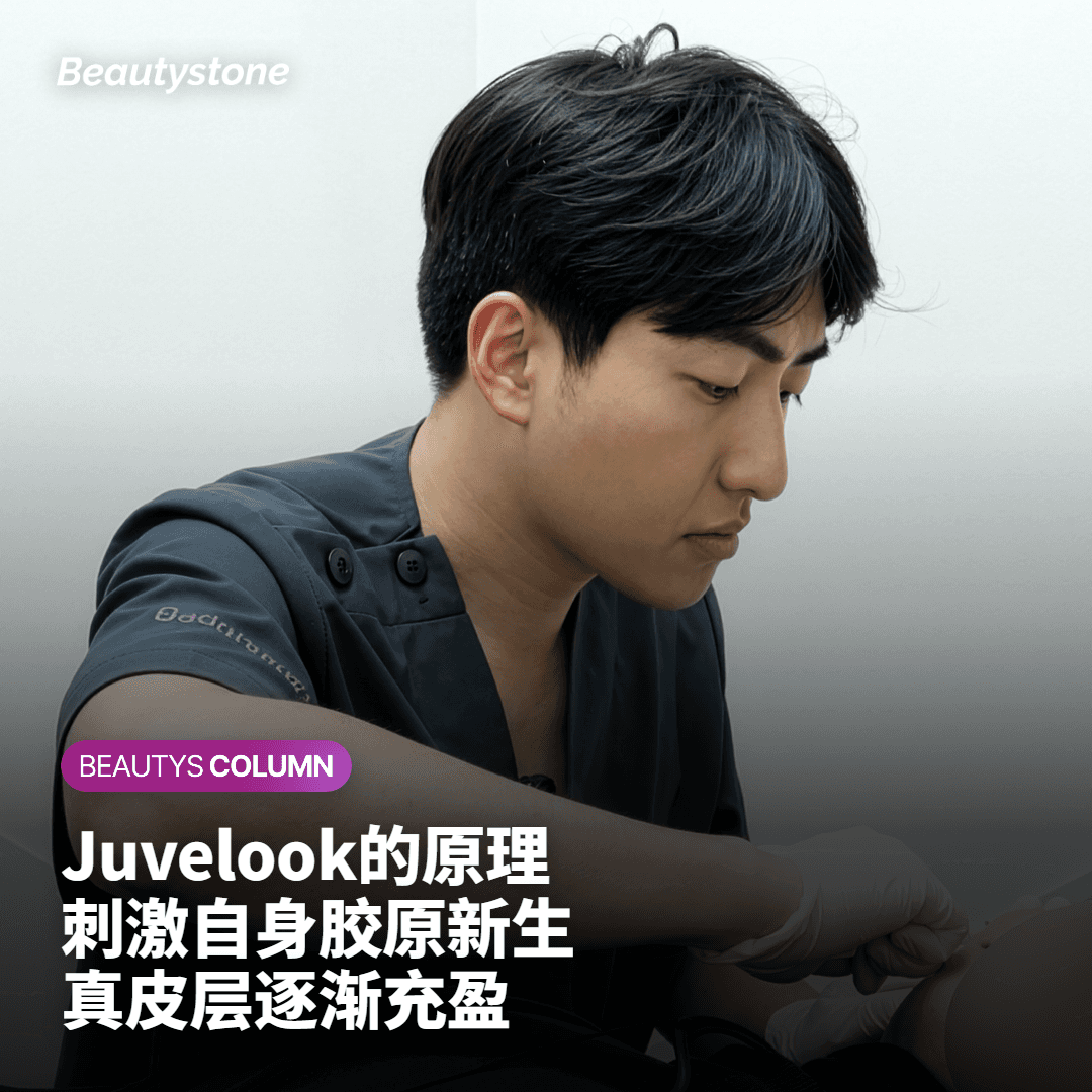 脸颊真皮层中新胶原蛋白充盈的剖面