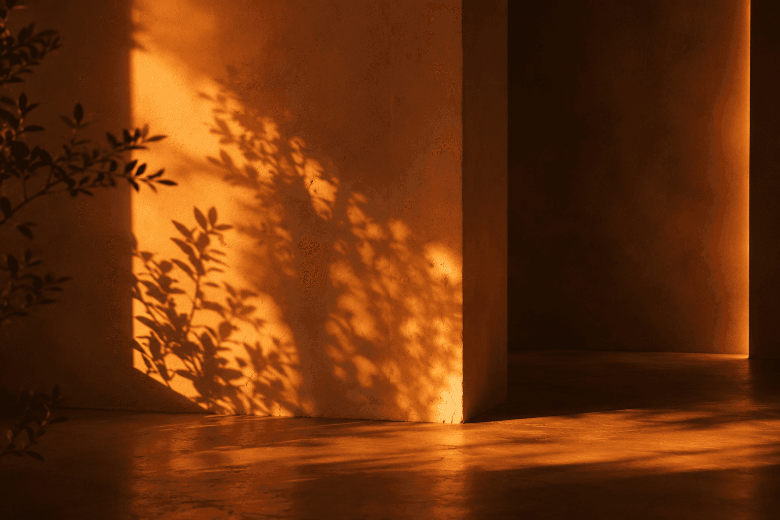 Yoga studio with bright golden sunlight