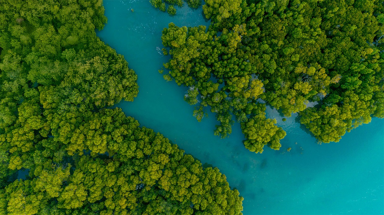 A river