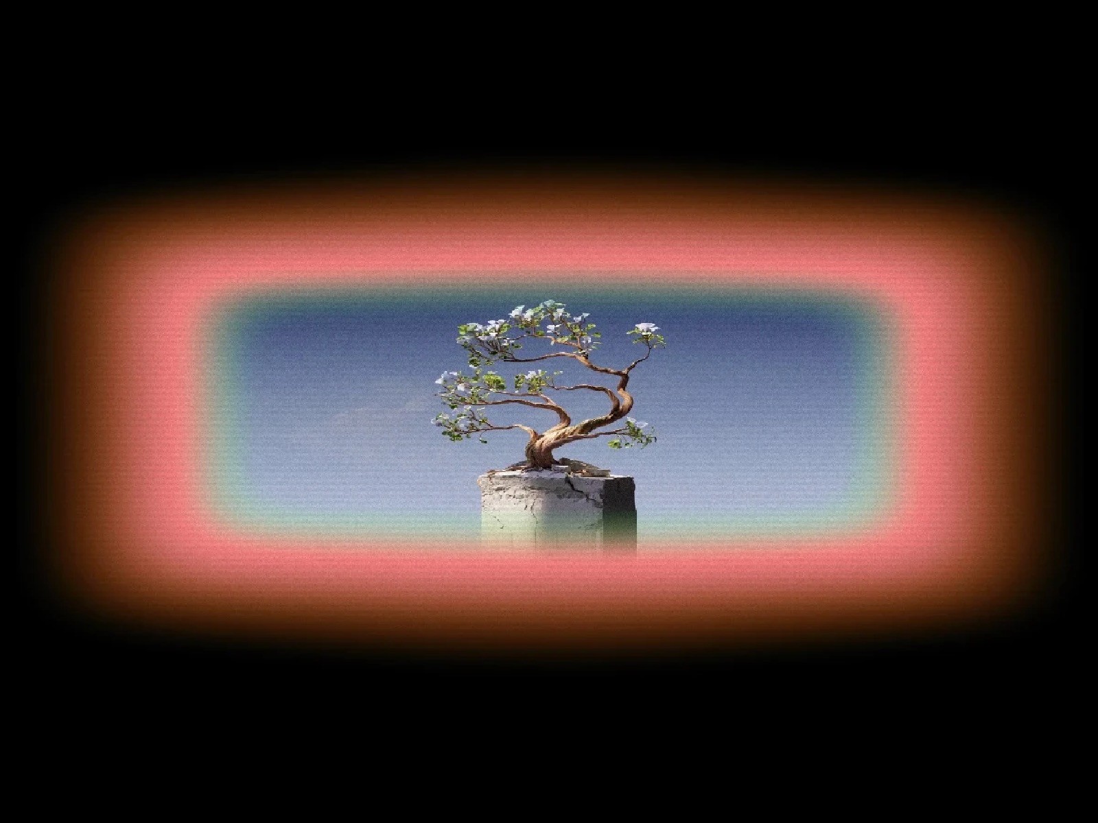 Gradient Shader Visualizer - Framer Component