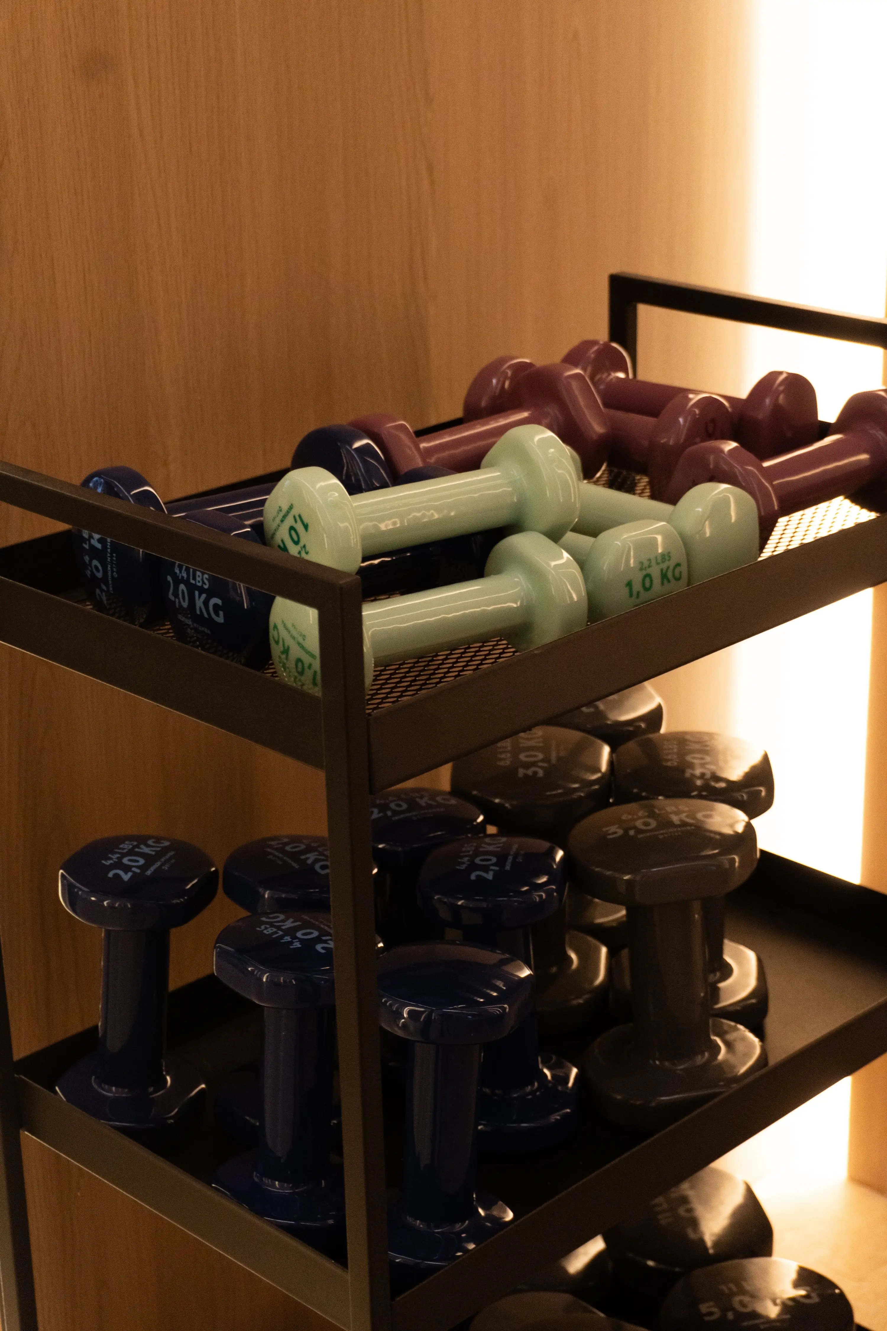 Close-up of a weight rack with dumbbells neatly arranged at The Alpha Club.