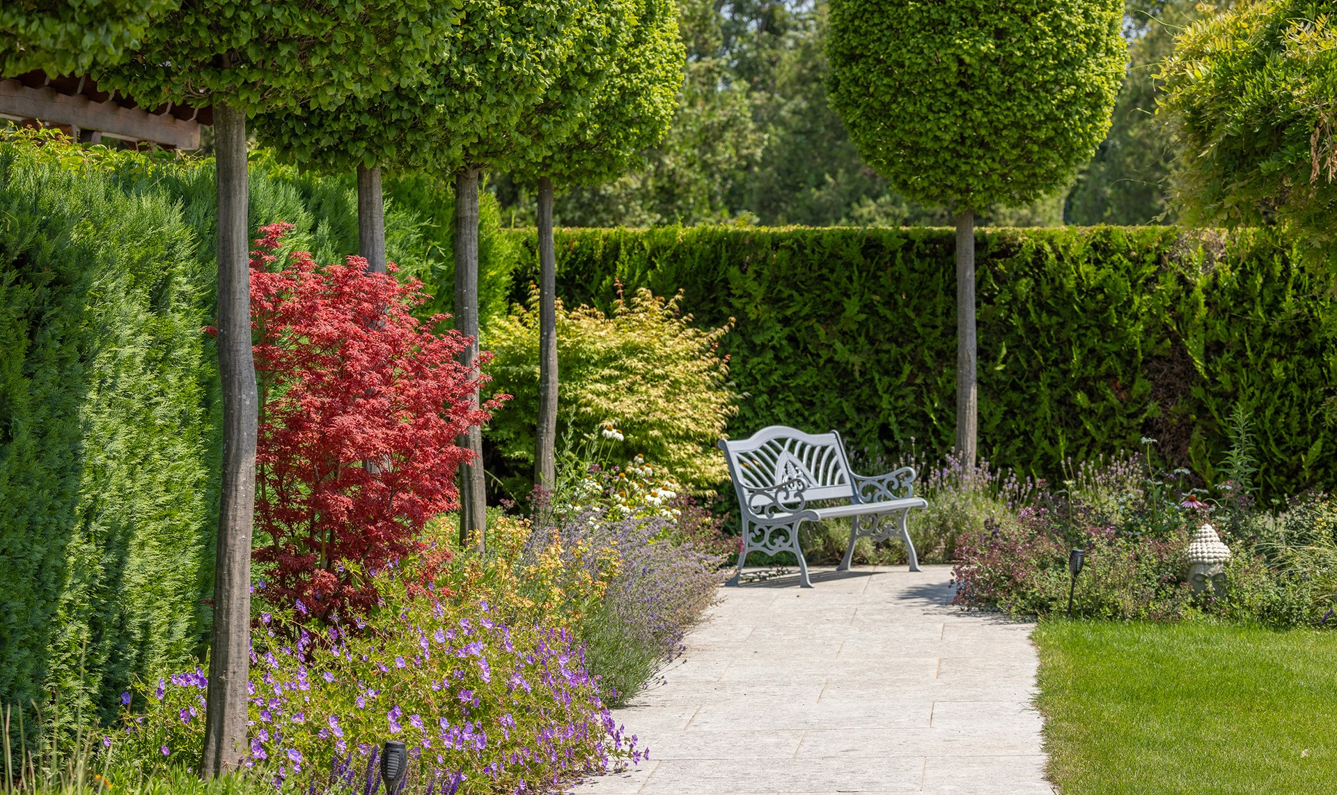 Gartenweg mit Staudenbeeten und Sitzbank unter einer Allee aus säulenförmig geschnittenen Bäumen.