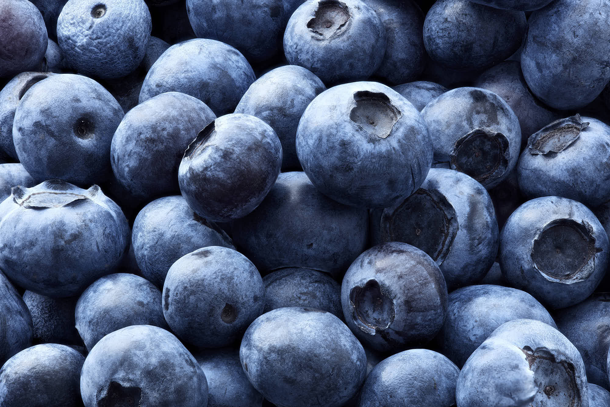 Fresh organic blueberries close-up, vibrant and ripe for healthy eating.