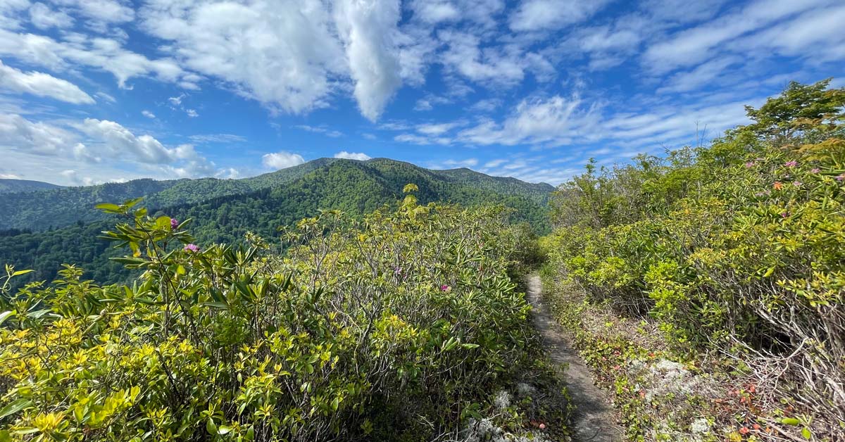 Best Hikes in Gatlinburg Without the Crowds