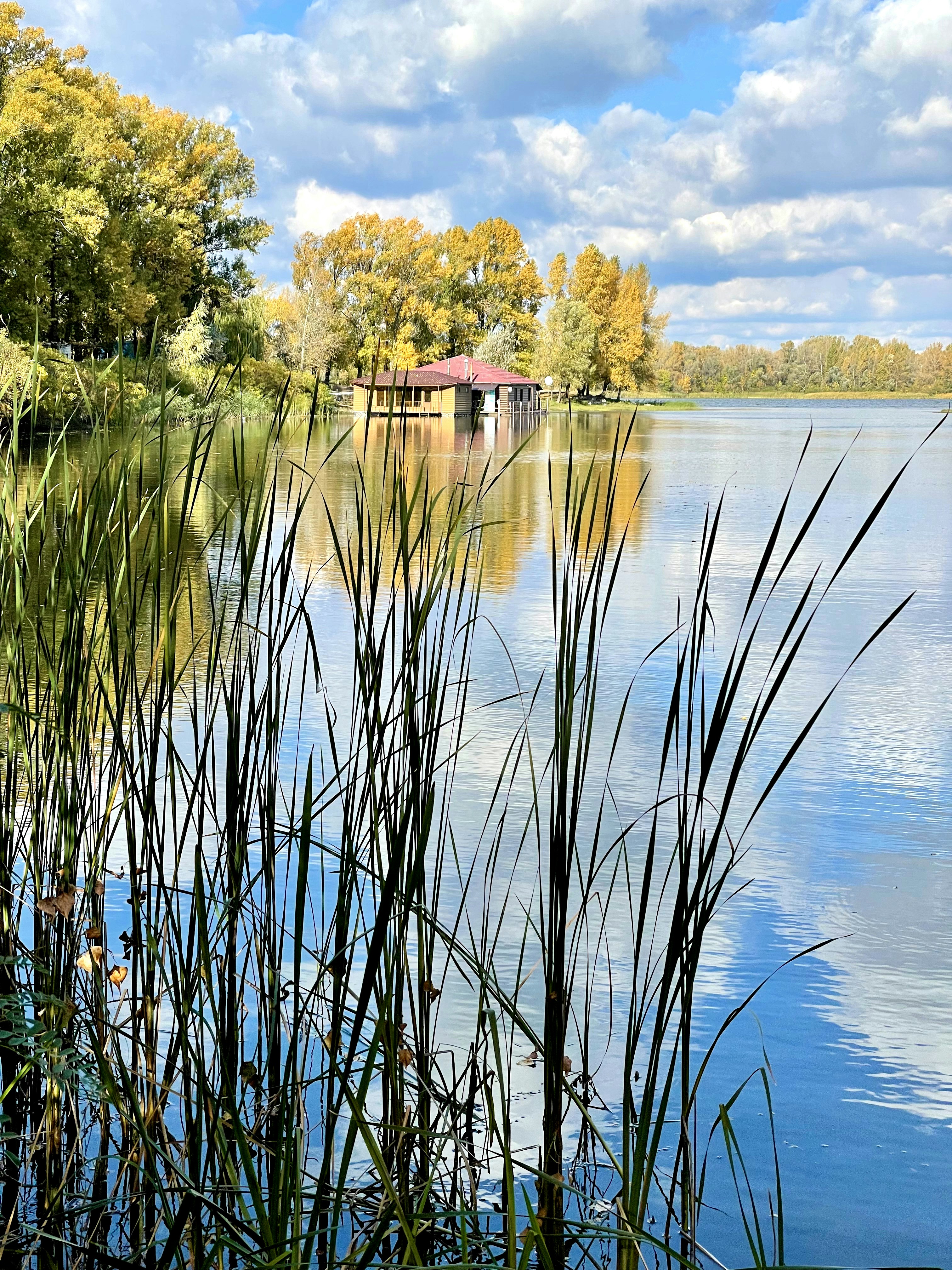 a body of water surrounded by trees and grass