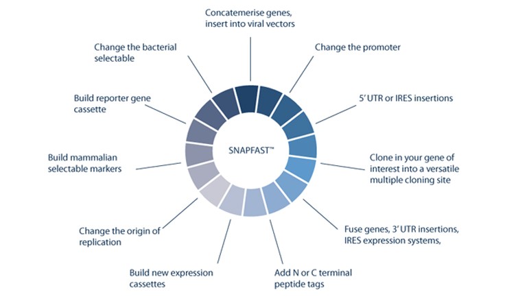 The SnapFast™ concept. Source: Oxford Genetics.