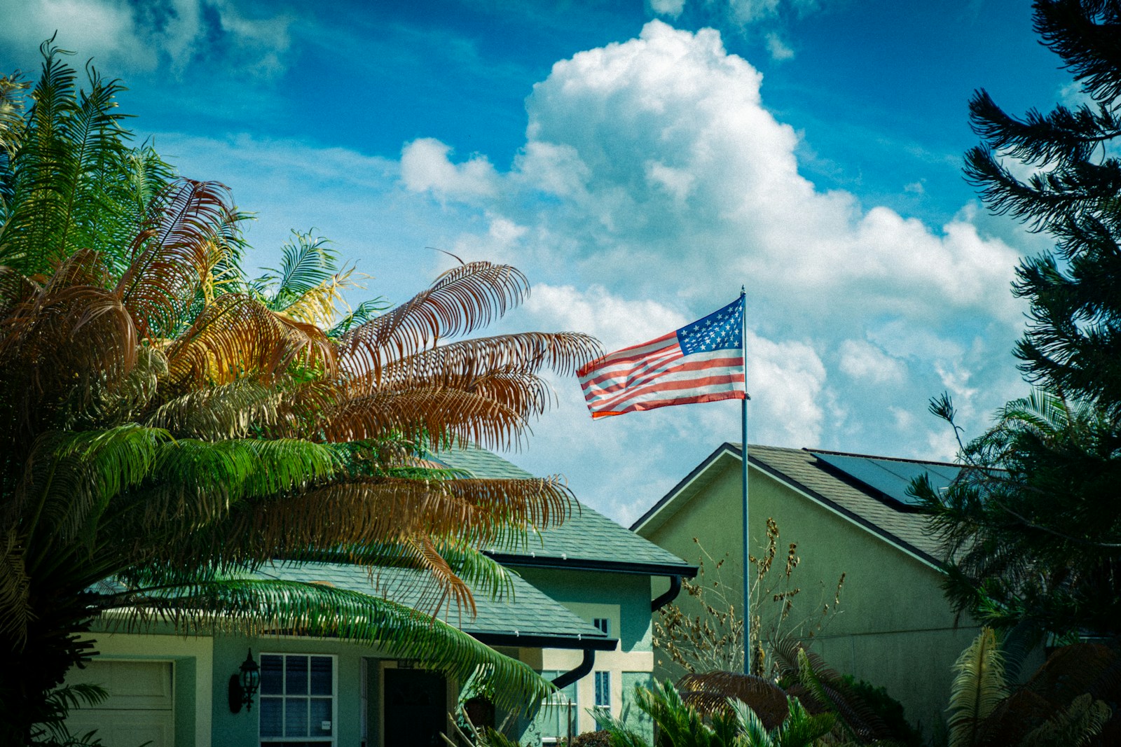 Everyday suburban Florida home surrounded by tropical greenery