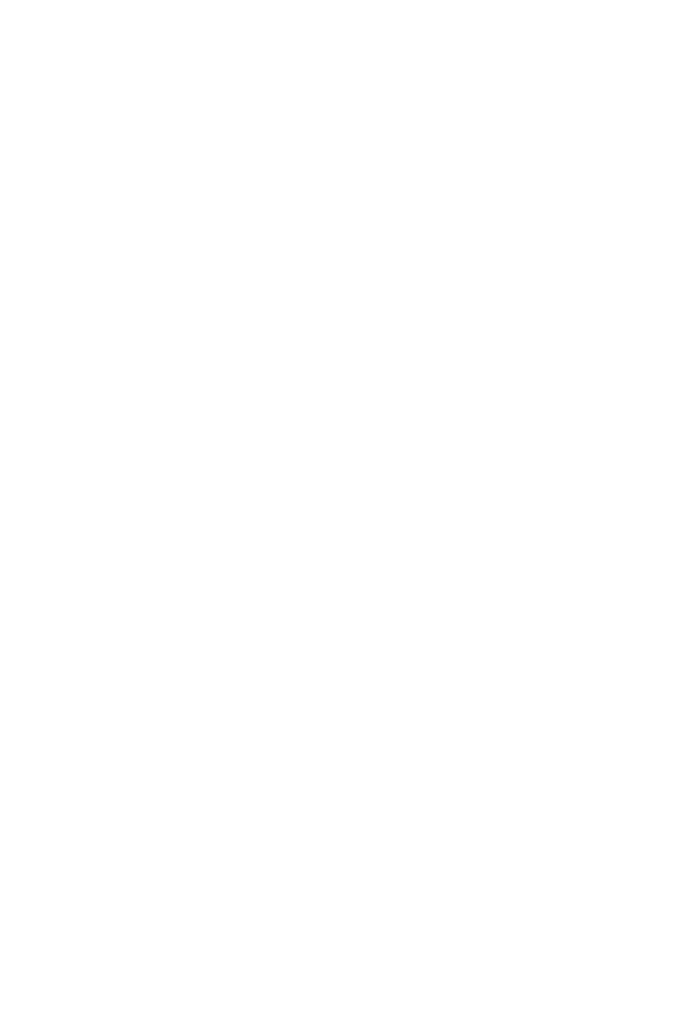 Rabcat logo