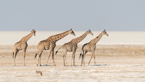 When is the best time to visit Namibia for Photography?