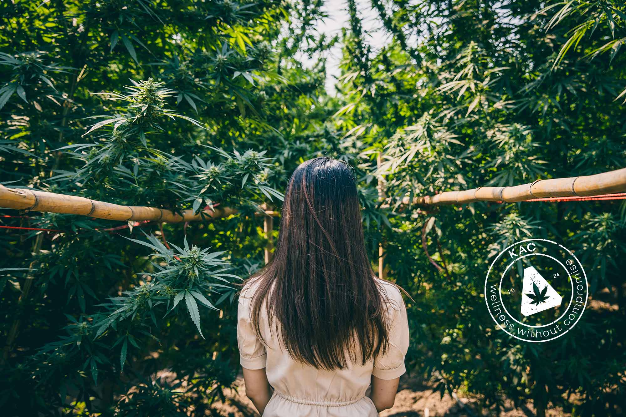 Woman facing cannabis forest