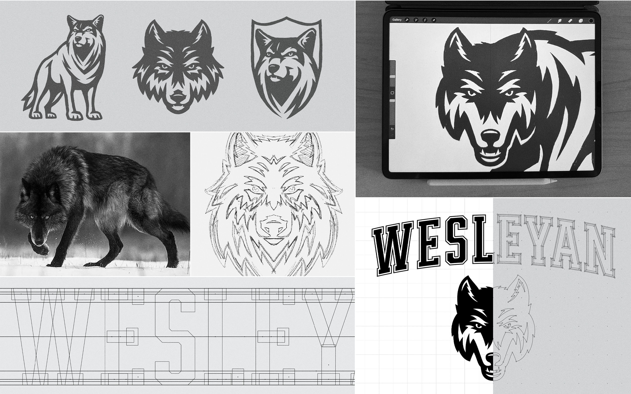 Wesleyan Wolves sketch and vector process images of wolf logo and wordmark.