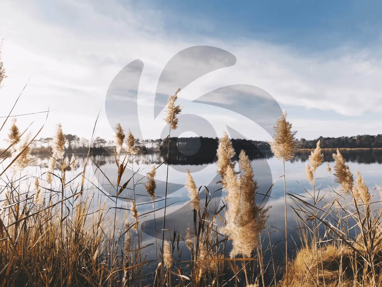 Website screens and brand photography for coaching & consulting clients
